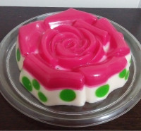 پاناکوتا خال خالی