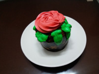 کاپ کیک وانیلی با سس آلبالویی