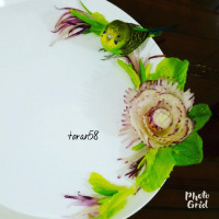 دورچین با ترب سفید