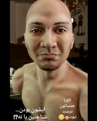 باست کیک ، کیک نیم تنه ، نیم تنه خوراکی