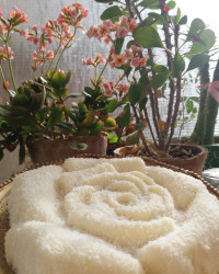 دسر نارگیلی