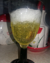 ژله شامپاین