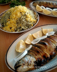 ماهی شکم پر شمالی