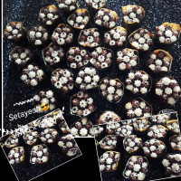 کاپ کیک نسکافه