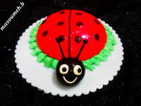 کیک کفشدوزک سفارشی