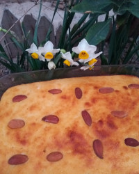 کیک بسبوسه (عربی)