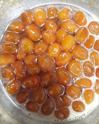 مربا کامکوات