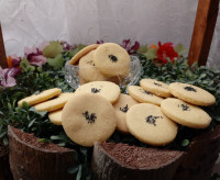 شیرینی فسایی با دستور پاپیون