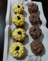 تدارکات مهمونی دورهمی