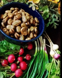 باقالی پخته