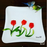گل لاله باسبزه وآبیه