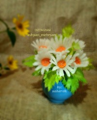 گل بابونه با ترب