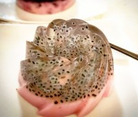 ژله تخم شربتی