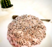 ژله تخم شربتی