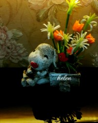 دیزاین سفره