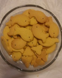 بیسکوییت کاسترد