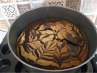 زبرا دورنگ با دستور پاپیون از دستور خوبت ممنونم پاپیون