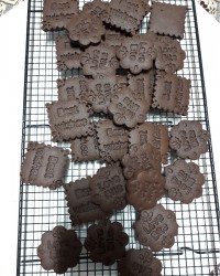 بیسکویت کاکاویی