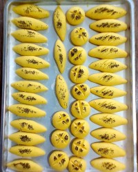 شیرینی پادرازی و نان قندی قزوین