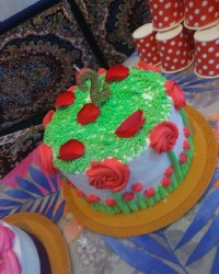 کیک تولدخواهرزادم