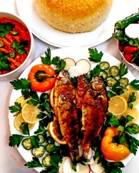 ماهی شمال و میرزاقاسمی