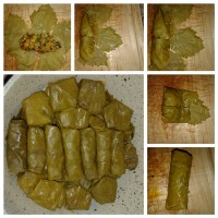 مراحل پیچیدن دلمه برگ مو
