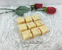 لوگوم پرتقال