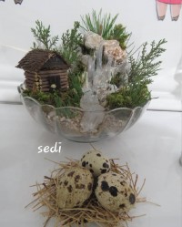 سبزه هفت سین 98