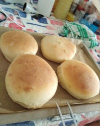 نان باکت سبزی پلو ماهی