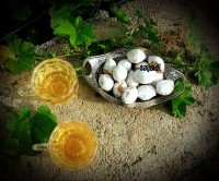 قطاب گردویی