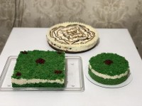 کیک اسفناج و چیز کیک مارس