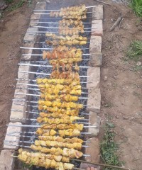 جاتون خالی