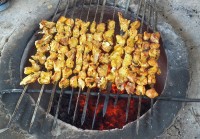 جاتون خالی جوجه سیزده بدر توباغ