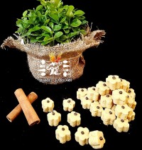 شیرینی نخودچی