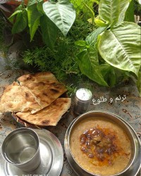 حلیم زاهدانی