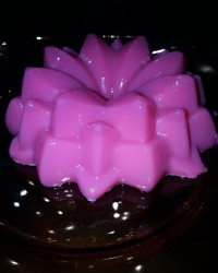 پانا کوتای خوشمزه من