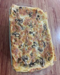 پست 15 ?لازانیا