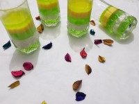 پاناکوتا وژله