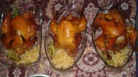 مرغ بریونی من