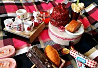 ☆پیکنیک تو دنیای مینیاتوری☆