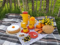 عصرونه بهاری در طبیعت