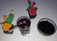 مربا و شربت شاتوت ?جای بچهای پاپیونی خالی