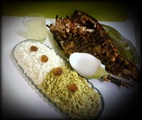 ماهی تنوری"غزال"