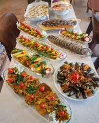 اینم ازمهمونیم