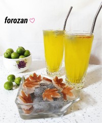 یخ قالبی خاکشیر ،شربتی ،نعنا