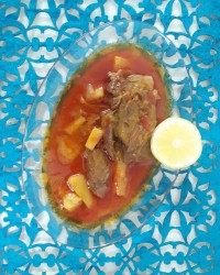 ماهیچه مجلسی