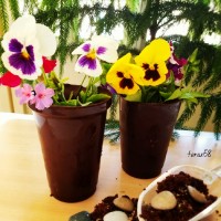 گلدان شکلاتی