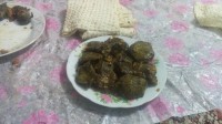 دلمه من
