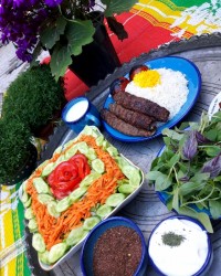 کباب کوبیده نهار روز ۱۳ بدر