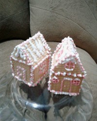 خانه بیسکوئیت